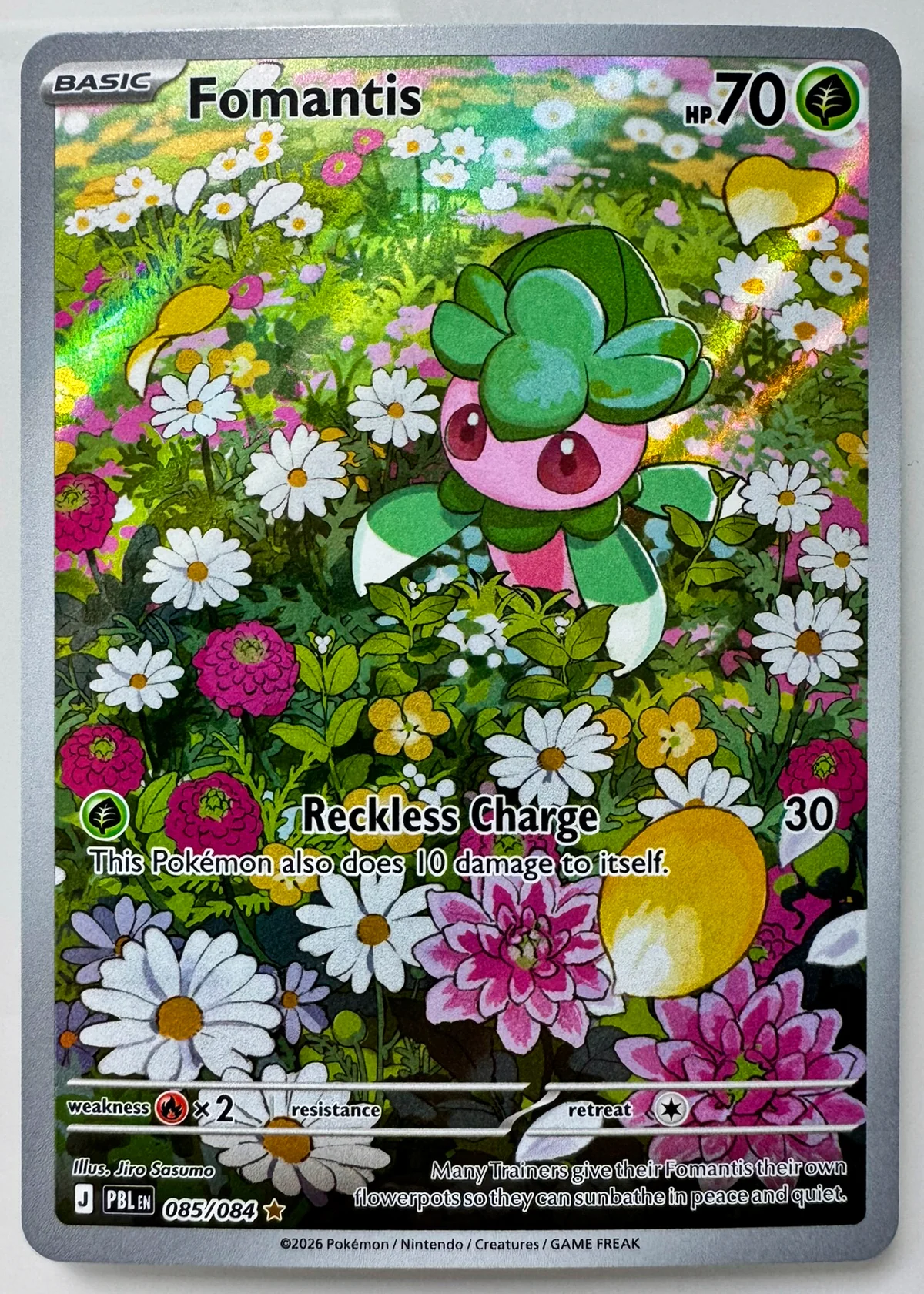 Fomantis — Front